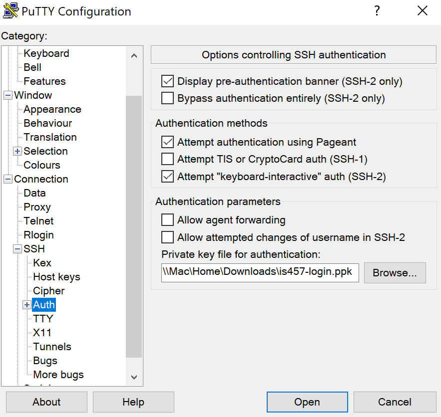 Putty Auth