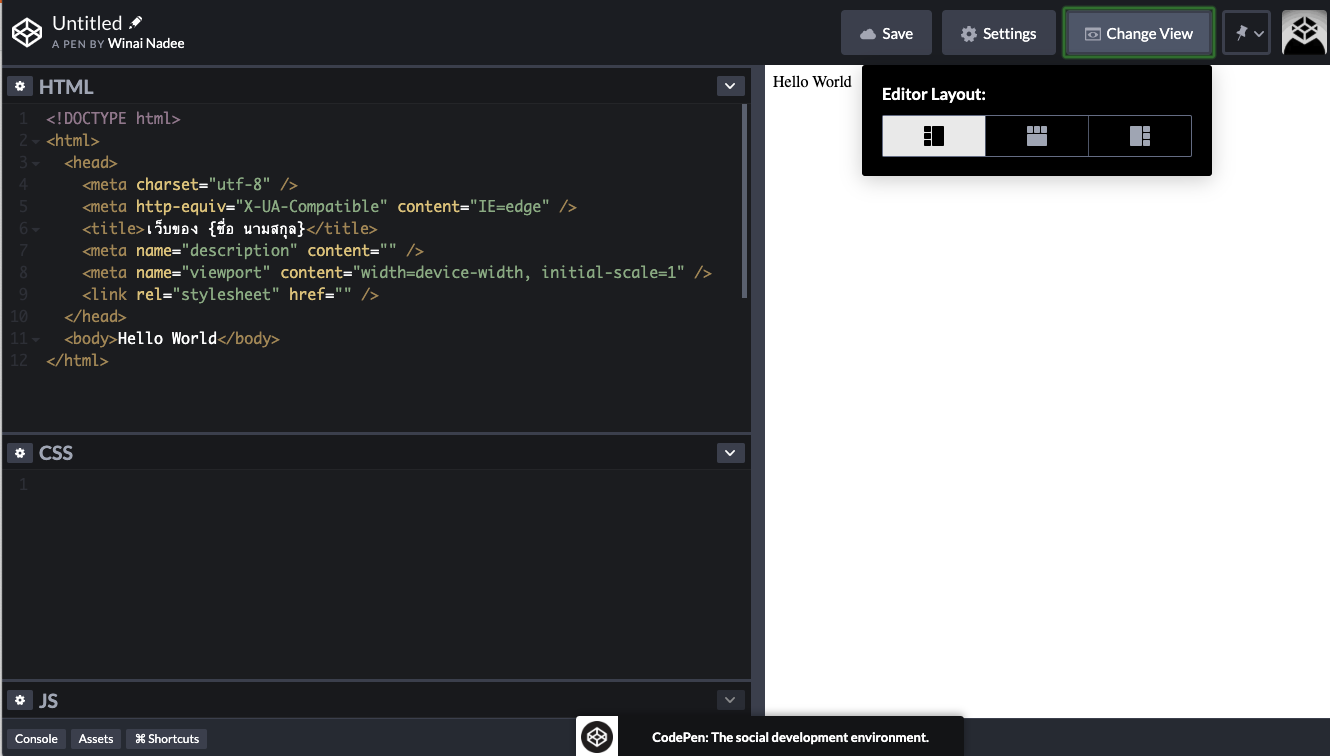 CodePen